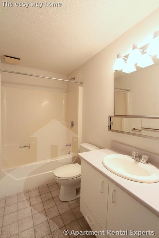 2 bed, 2 bath apartment for rent at 175 Beacon St Unit 110, Ward Two — photo 9 of 18