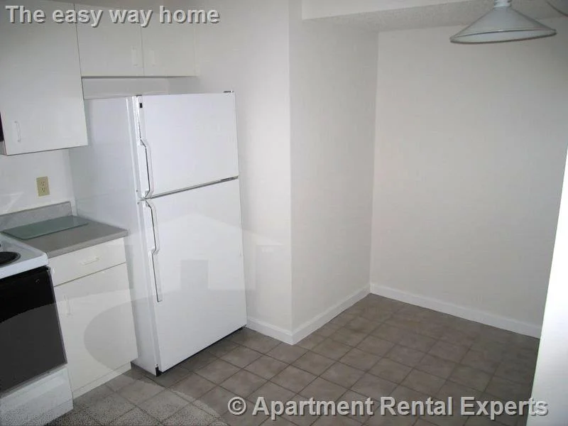 2 bed, 2 bath apartment for rent at 175 Beacon St Unit 303, Ward Two — photo 2 of 8