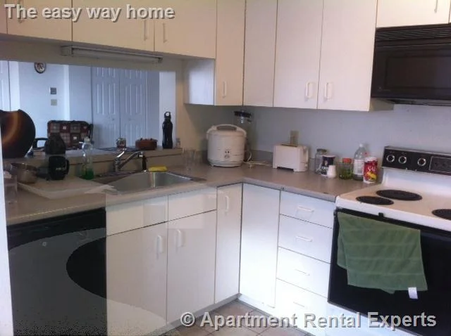2 bed, 2 bath apartment for rent at 175 Beacon St Unit 314, Ward Two — photo 5 of 11
