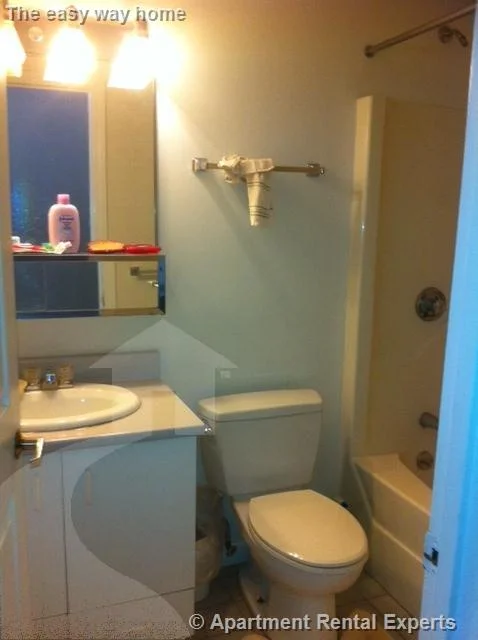 2 bed, 2 bath apartment for rent at 175 Beacon St Unit 314, Ward Two — photo 9 of 11