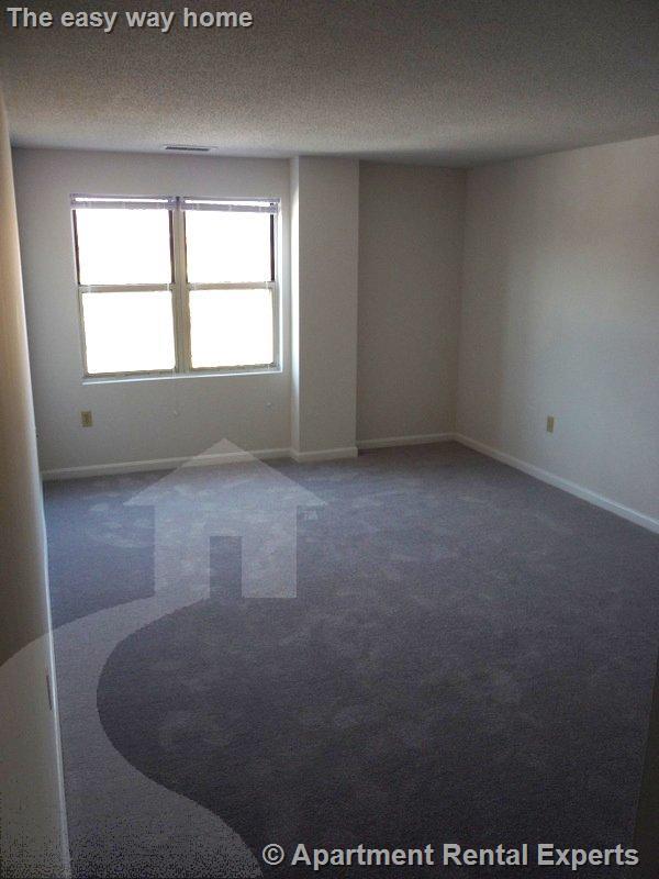 2 bed, 2 bath apartment for rent at 175 Beacon St Unit 401, Ward Two — photo 6 of 9