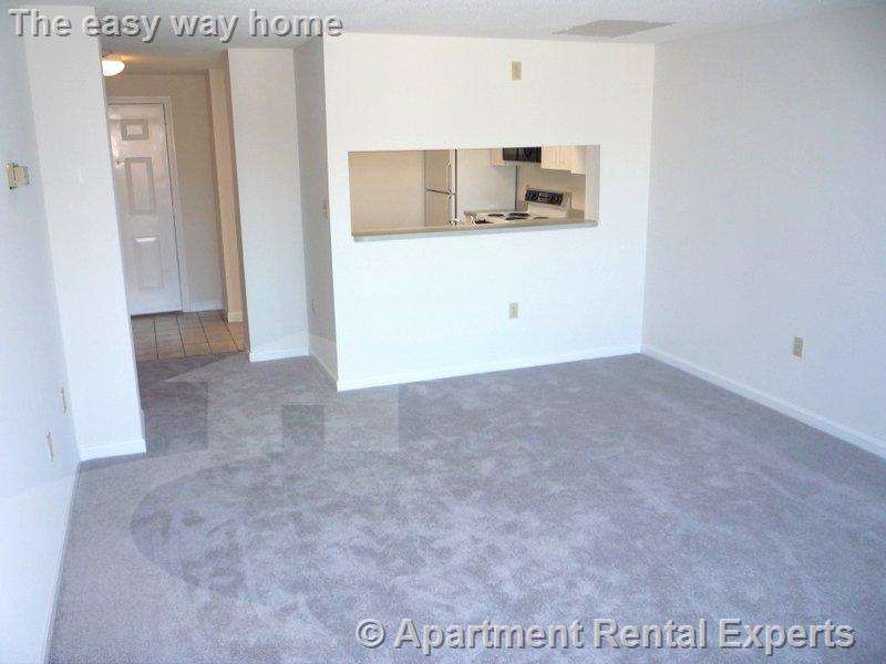 2 bed, 2 bath apartment for rent at 175 Beacon St Unit 401, Ward Two — photo 4 of 9