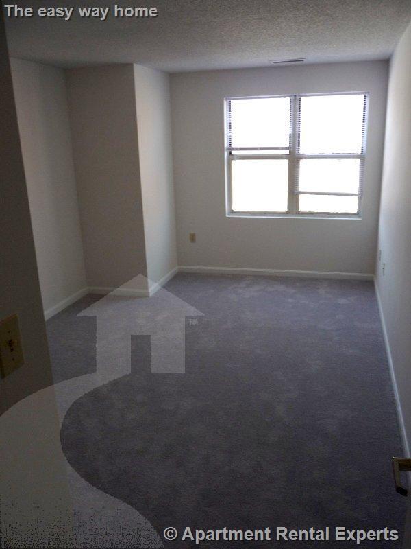 2 bed, 2 bath apartment for rent at 175 Beacon St Unit 401, Ward Two — photo 5 of 9