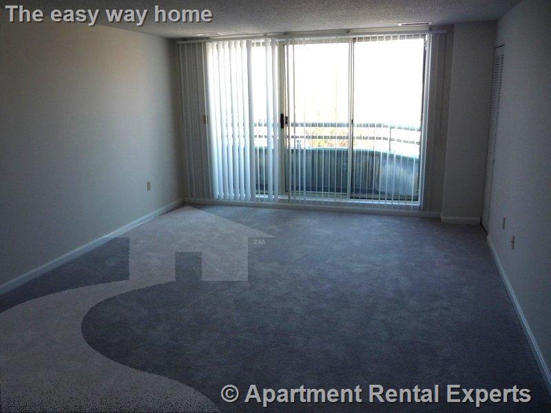 2 bed, 2 bath apartment for rent at 175 Beacon St Unit 401, Ward Two — photo 3 of 9