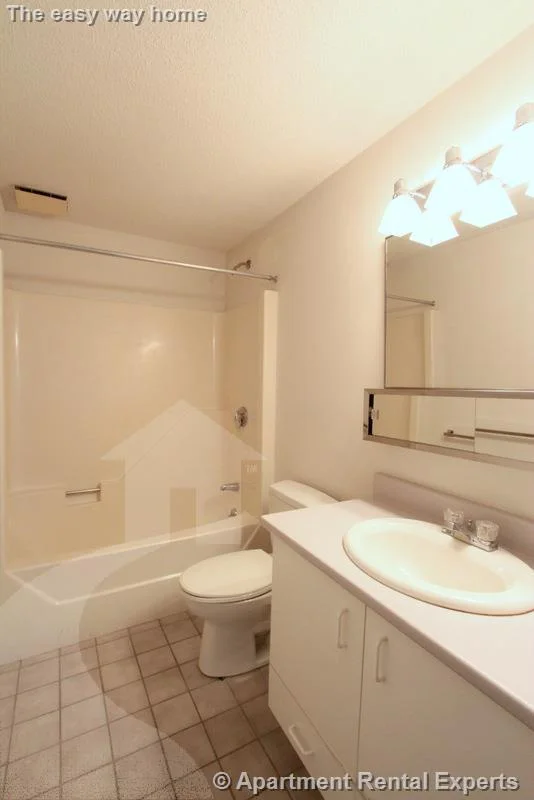 2 bed, 2 bath apartment for rent at 175 Beacon St Unit 409, Ward Two — photo 4 of 8
