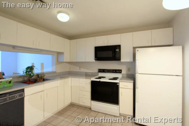 2 bed, 2 bath apartment for rent at 175 Beacon St Unit 409, Ward Two — photo 1 of 8