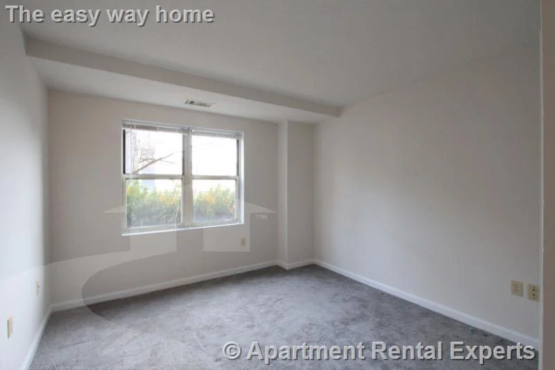 2 bed, 2 bath apartment for rent at 175 Beacon St Unit 409, Ward Two — photo 5 of 8