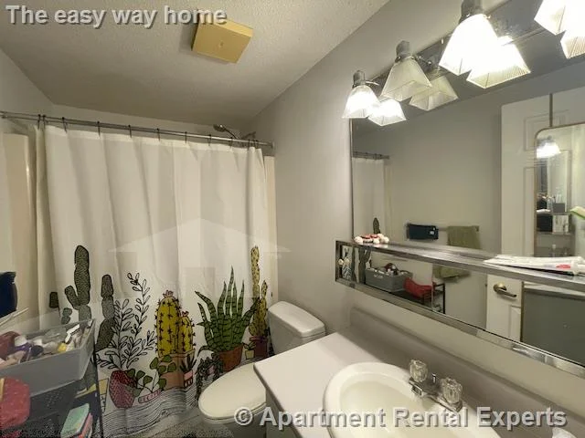 2 bed, 2 bath apartment for rent at 175 Beacon St Unit 410, Ward Two — photo 11 of 13