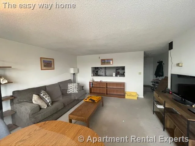 2 bed, 2 bath apartment for rent at 175 Beacon St Unit 410, Ward Two — photo 7 of 13