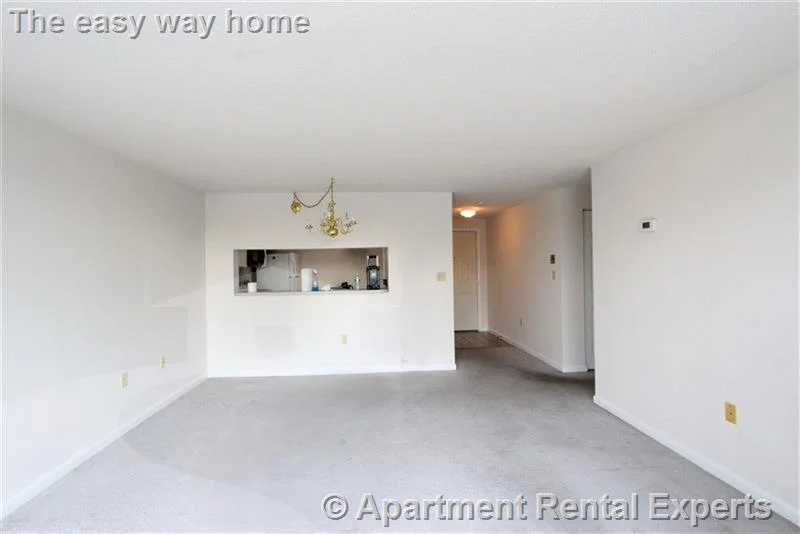 2 bed, 2 bath apartment for rent at 175 Beacon St Unit TBD, Ward Two — photo 4 of 9