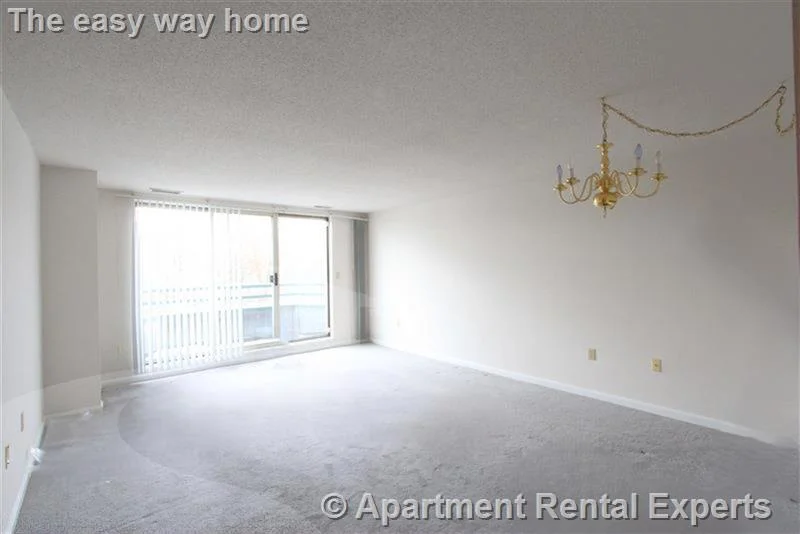 2 bed, 2 bath apartment for rent at 175 Beacon St Unit TBD, Ward Two — photo 5 of 9