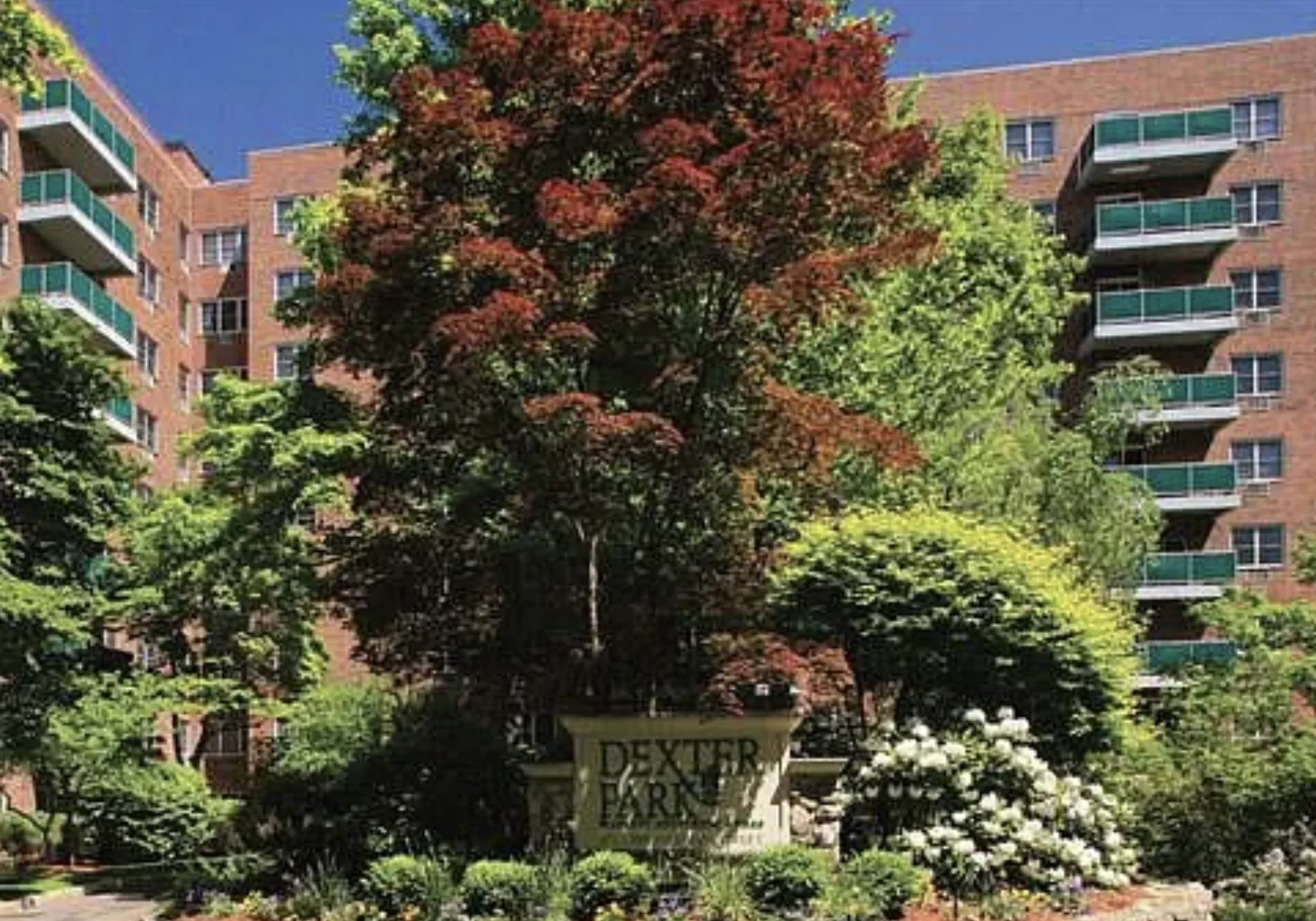 1 bed, 1 bath apartment for rent at 175 Freeman St Unit 506, North Brookline — photo 1 of 17