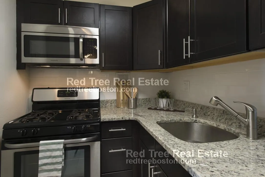 1 bed, 1 bath apartment for rent at 175 Freeman St Unit 806, North Brookline — photo 3 of 19
