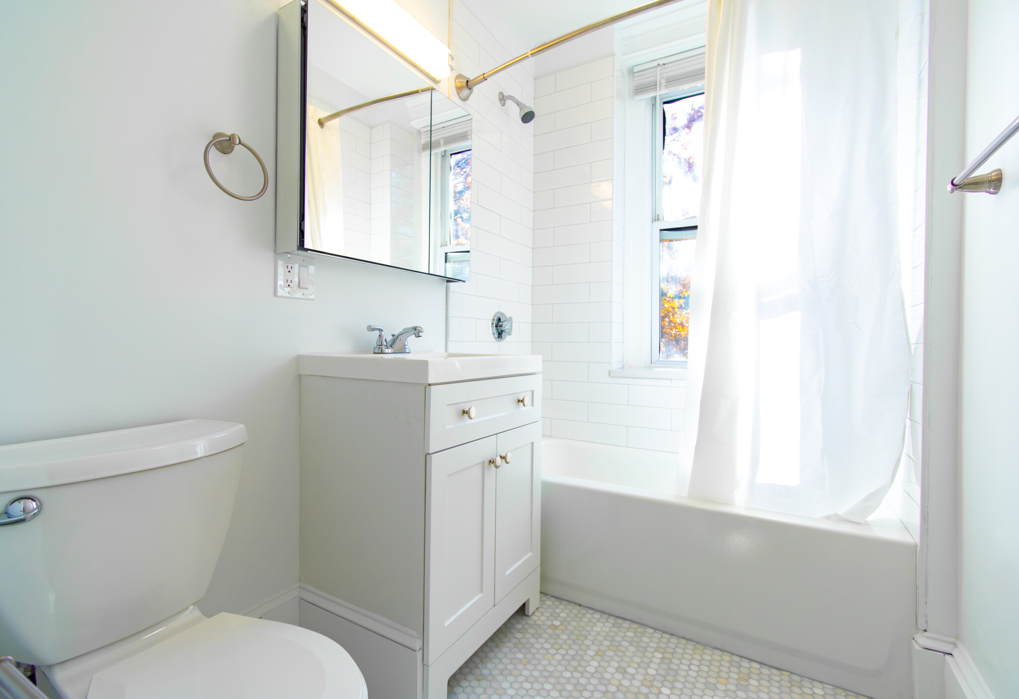 2 bed, 1 bath apartment for rent at 175 Hemenway St Unit 15, Fenway — photo 3 of 9