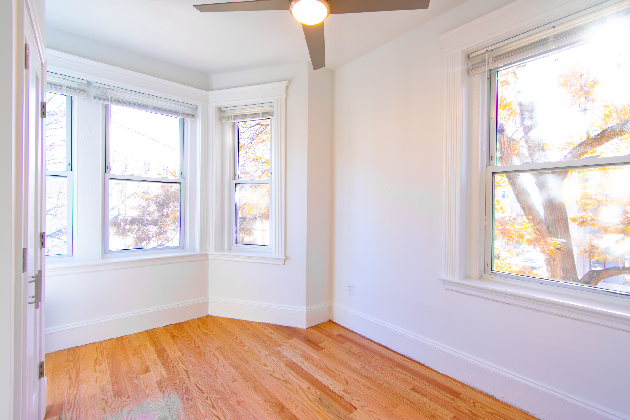 2 bed, 1 bath apartment for rent at 175 Hemenway St Unit 15, Fenway — photo 6 of 9