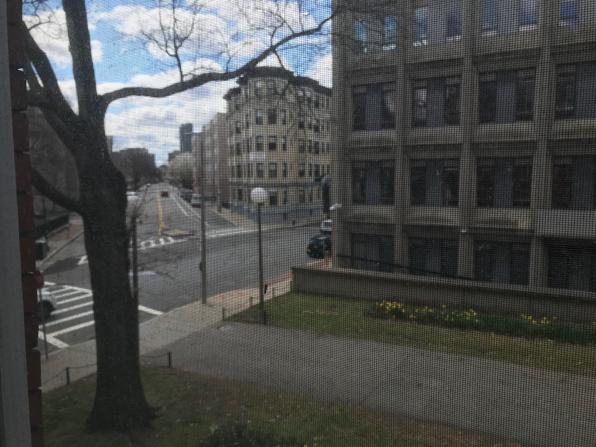 Studio bed, 1 bath apartment for rent at 175 Hemenway St Unit 8, Fenway — photo 5 of 9