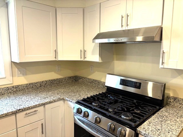 2 bed, 1 bath apartment for rent at 175 High St Unit 2, Brookline — photo 5 of 22