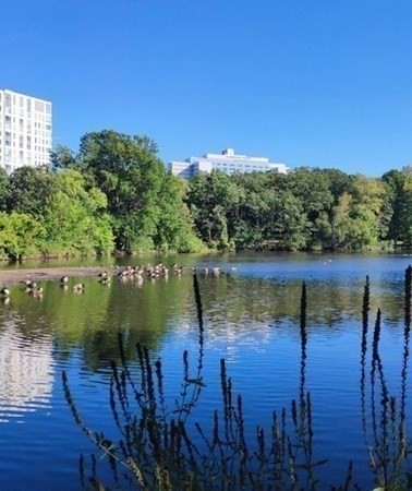 2 bed, 1 bath apartment for rent at 175 High St Unit 2, Brookline — photo 16 of 22
