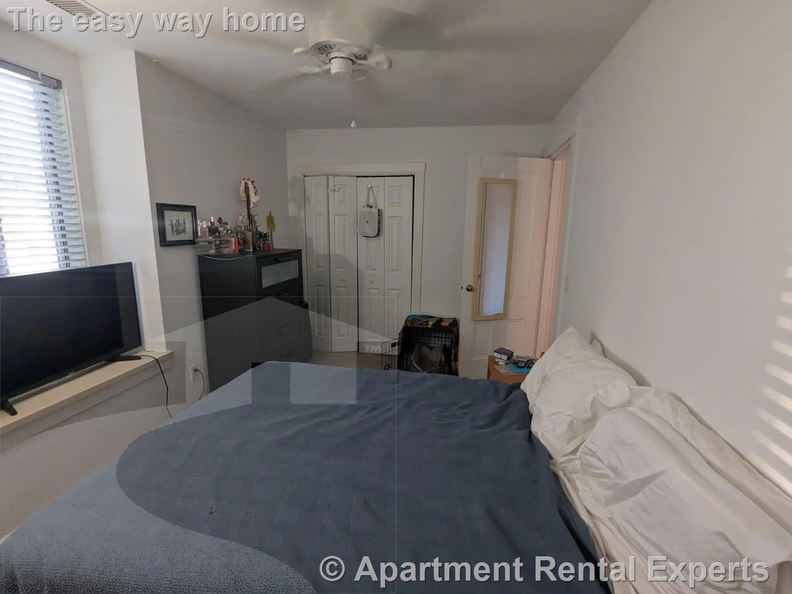 1 bed, 1 bath apartment for rent at 175 Summer St Unit 3, Spring Hill — photo 4 of 7