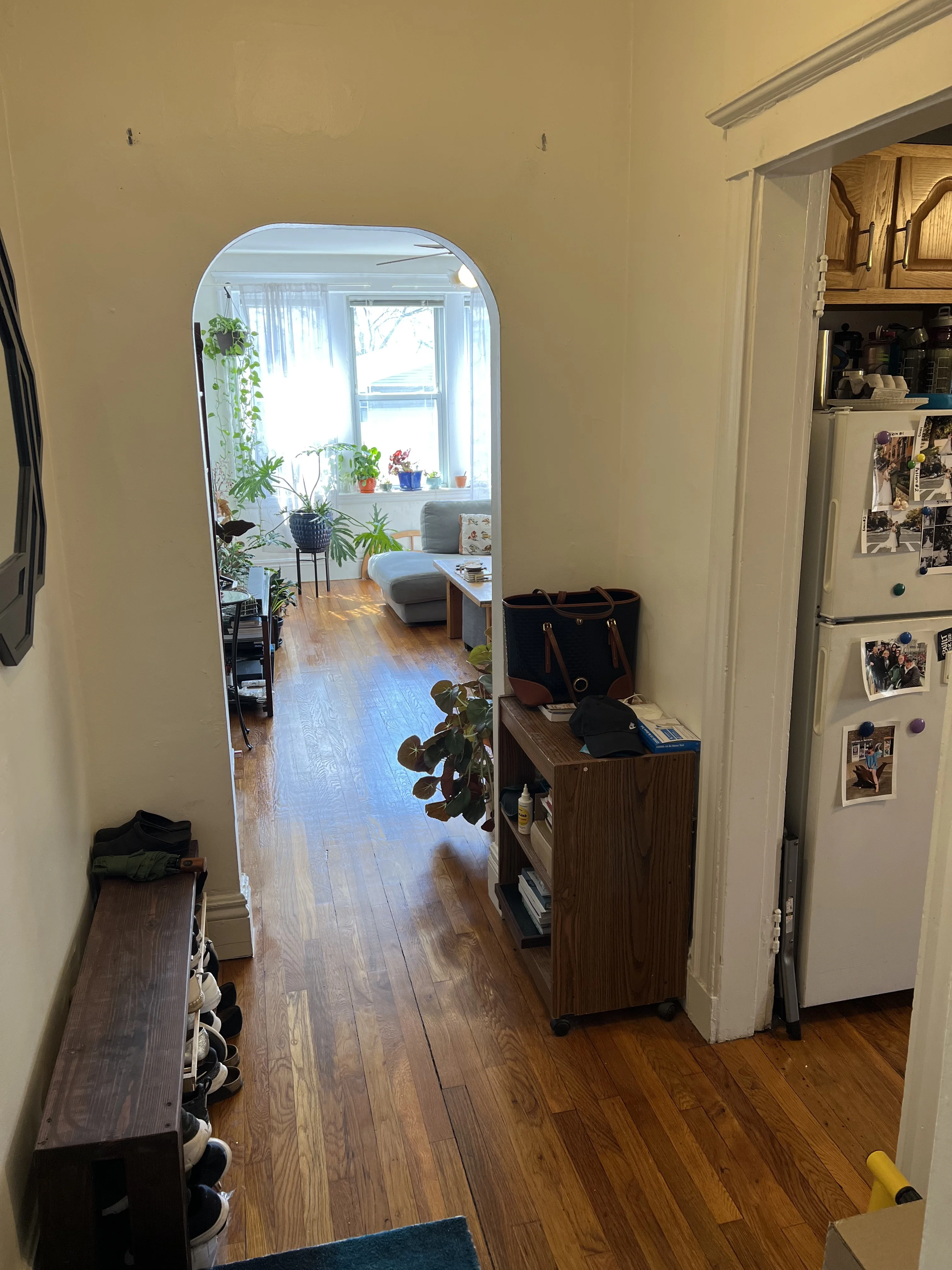 1 bed, 1 bath apartment for rent at 1750 Commonwealth Ave Unit 11, Brighton — photo 4 of 6