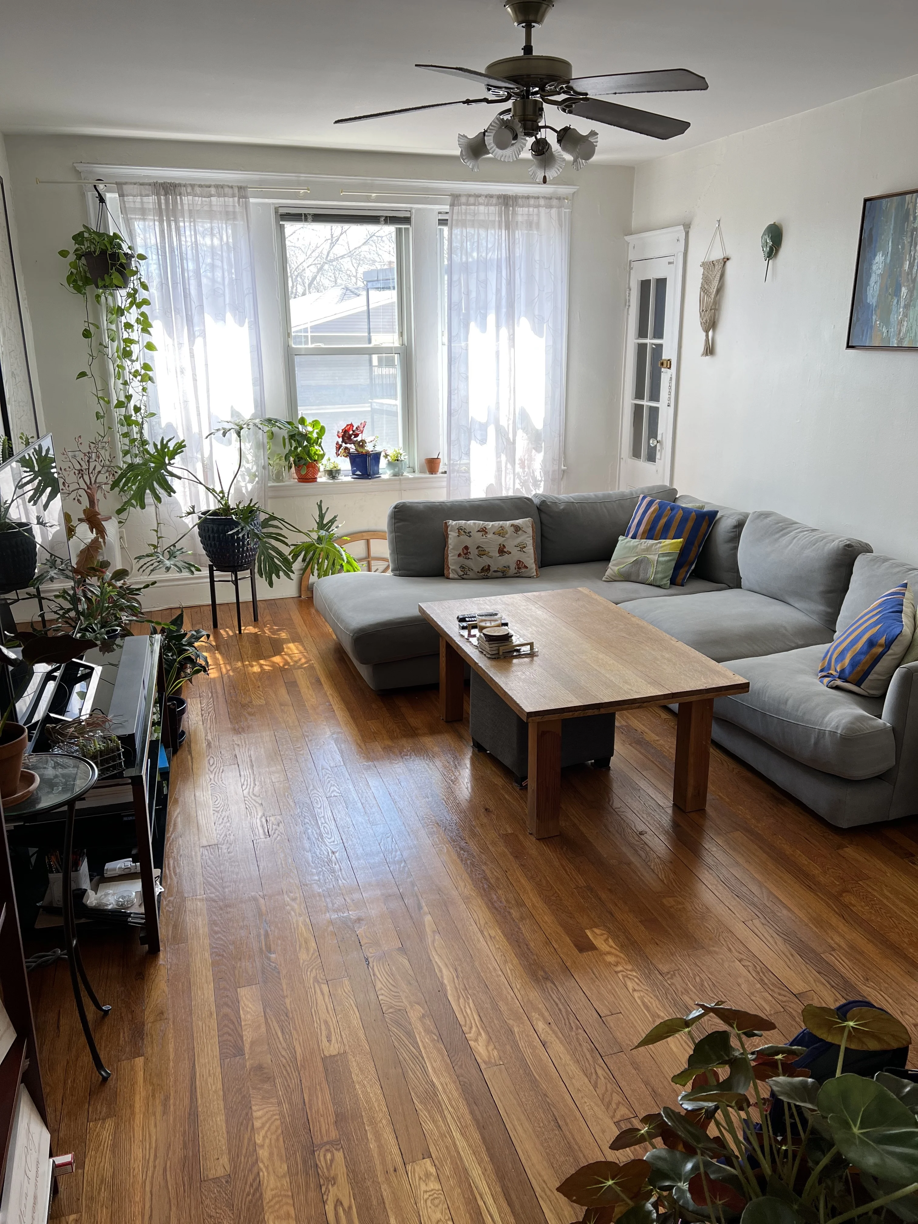 1 bed, 1 bath apartment for rent at 1750 Commonwealth Ave Unit 11, Brighton — photo 2 of 6
