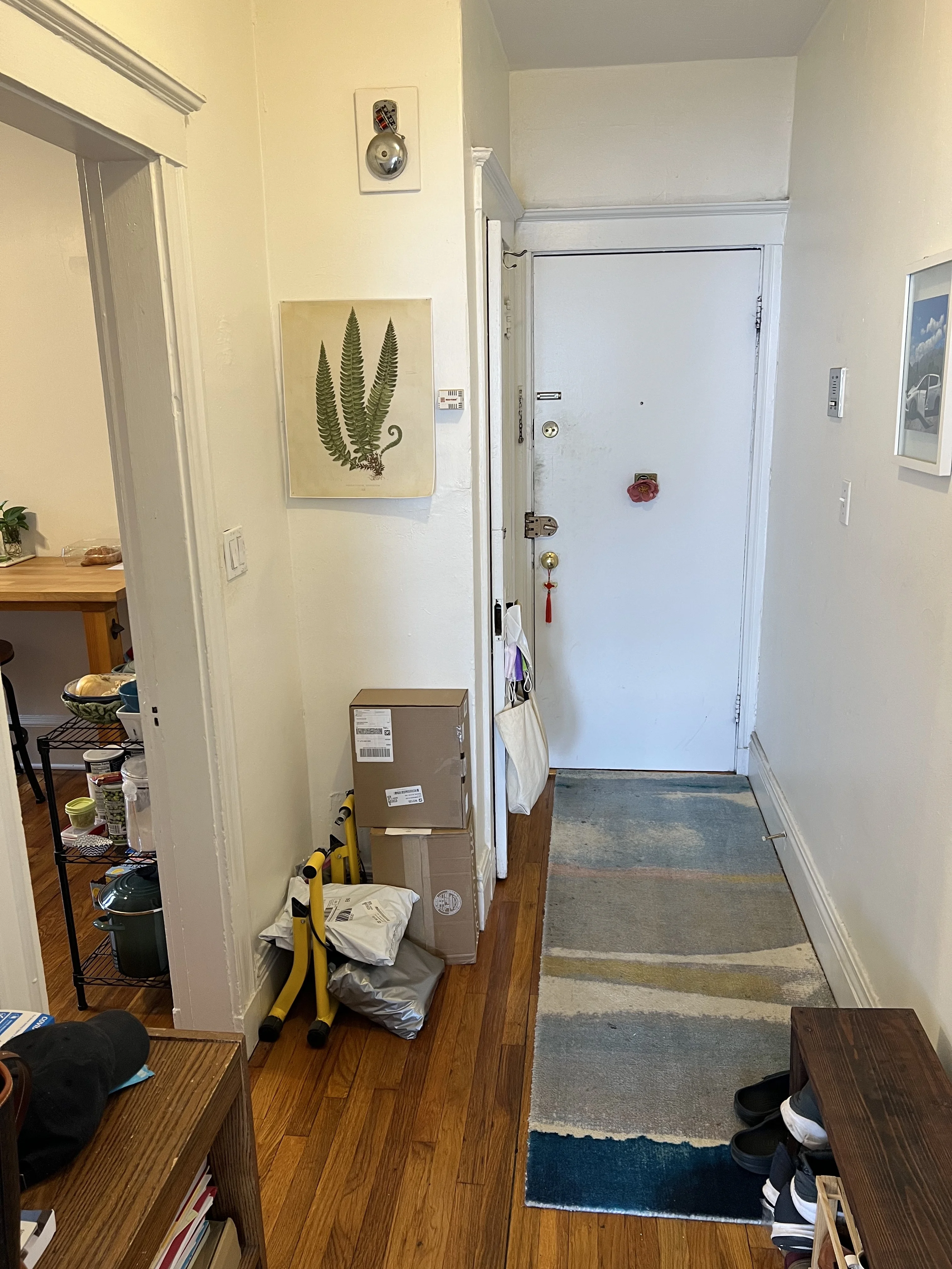 1 bed, 1 bath apartment for rent at 1750 Commonwealth Ave Unit 11, Brighton — photo 5 of 6