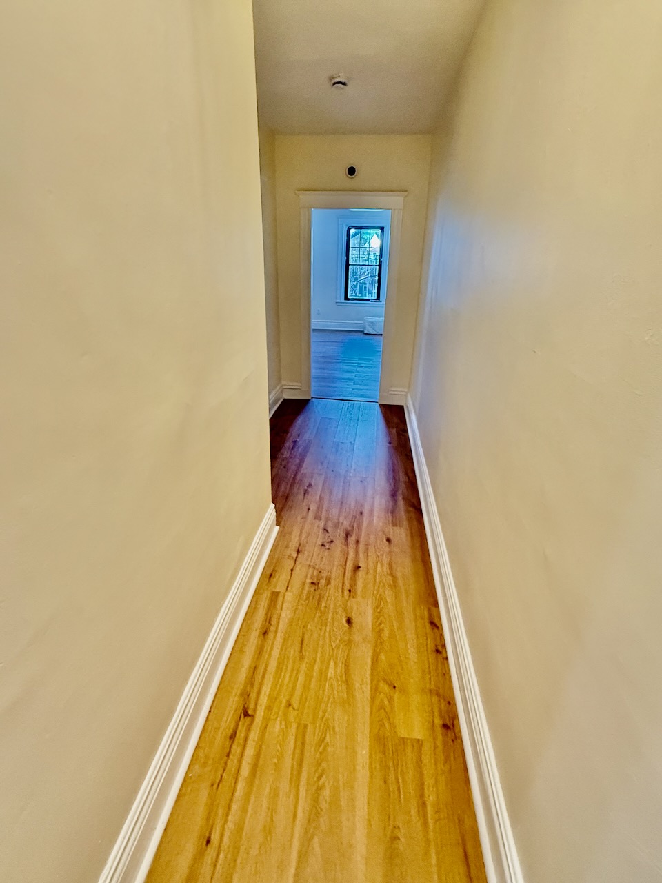 2 bed, 1 bath apartment for rent at 1754 Commonwealth Ave Unit 5, Brighton — photo 5 of 15