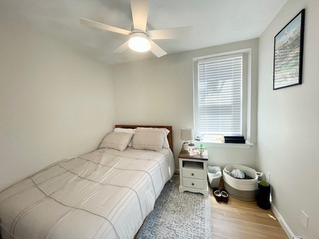 2 bed, 1 bath apartment for rent at 176 Endicott Unit 4, North End — photo 11 of 17