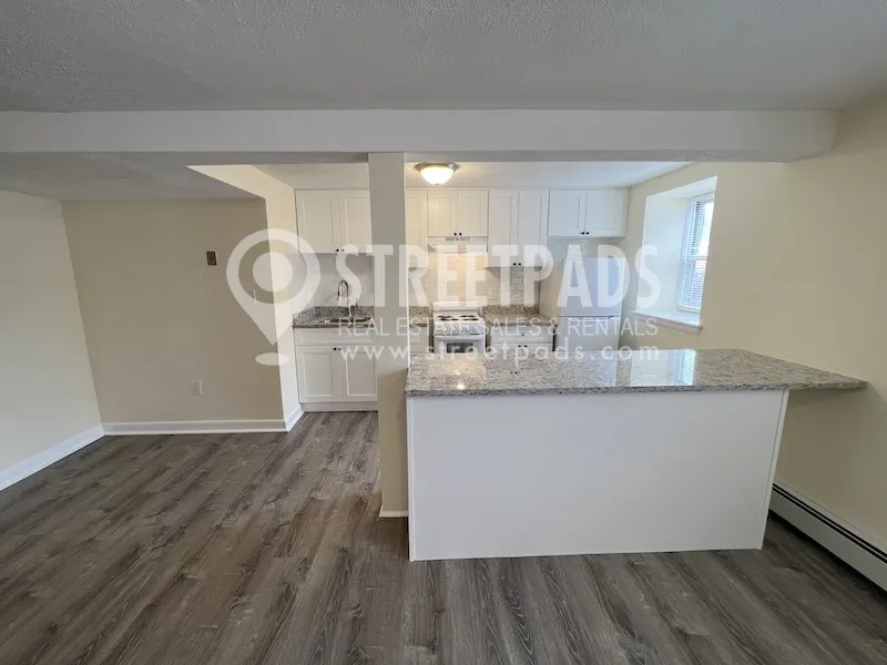 1 bed, 1 bath apartment for rent at 176 North Beacon St Unit 3A, Brighton — photo 3 of 20