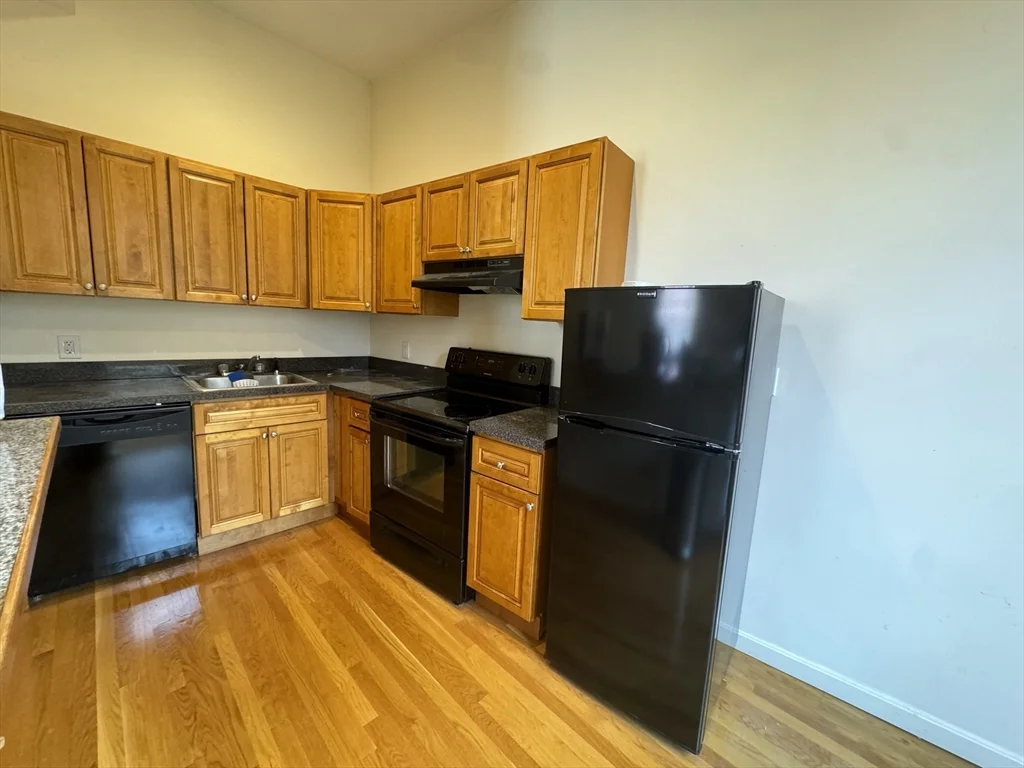 1 bed, 1 bath apartment for rent at 176 W Springfield St Unit 2, South End — photo 3 of 6
