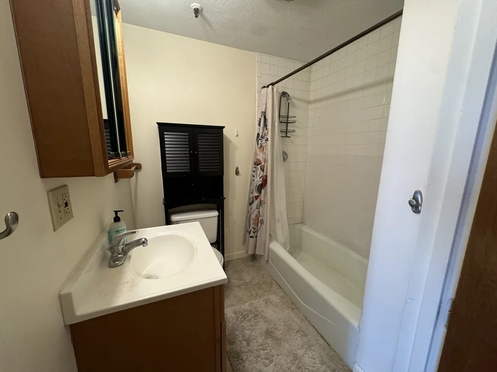 1 bed, 1 bath apartment for rent at 176 W Springfield St Unit 2, South End — photo 6 of 6