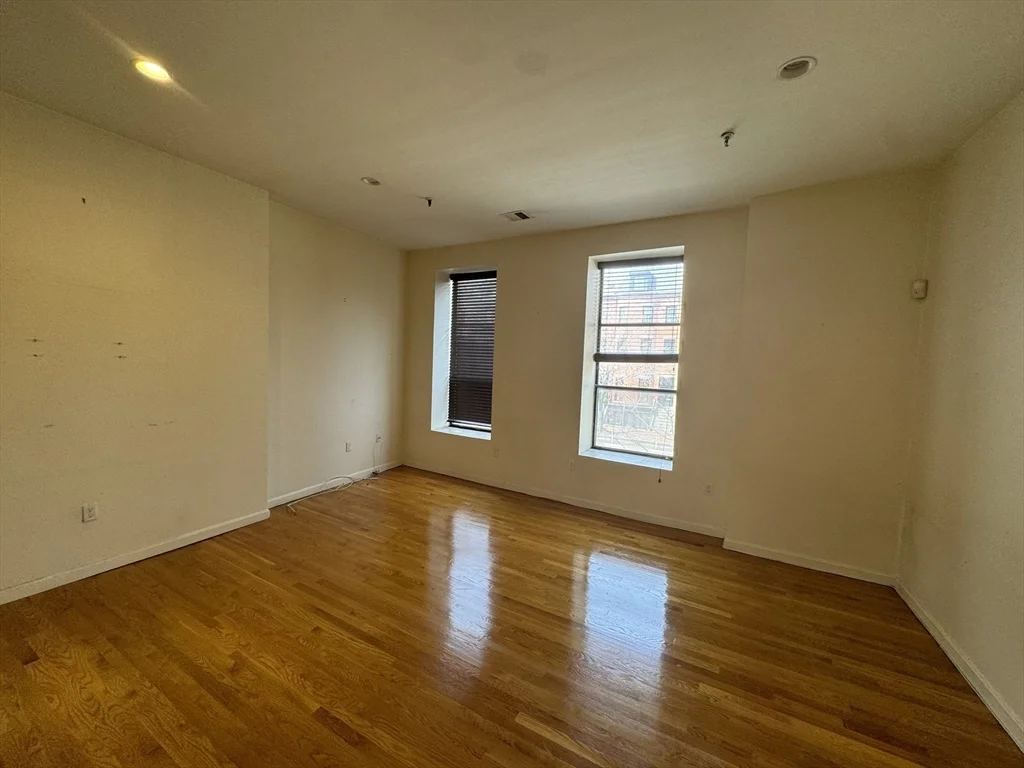 1 bed, 1 bath apartment for rent at 176 W Springfield St Unit 2, South End — photo 2 of 6