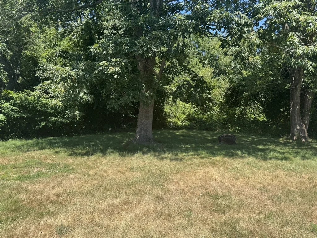 3 bed, 1 bath apartment for rent at 178 Spring St, Bridgewater — photo 30 of 31