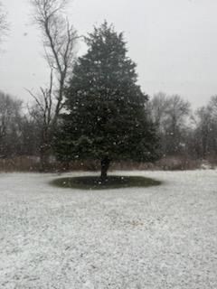 3 bed, 1 bath apartment for rent at 178 Spring St, Bridgewater — photo 14 of 31