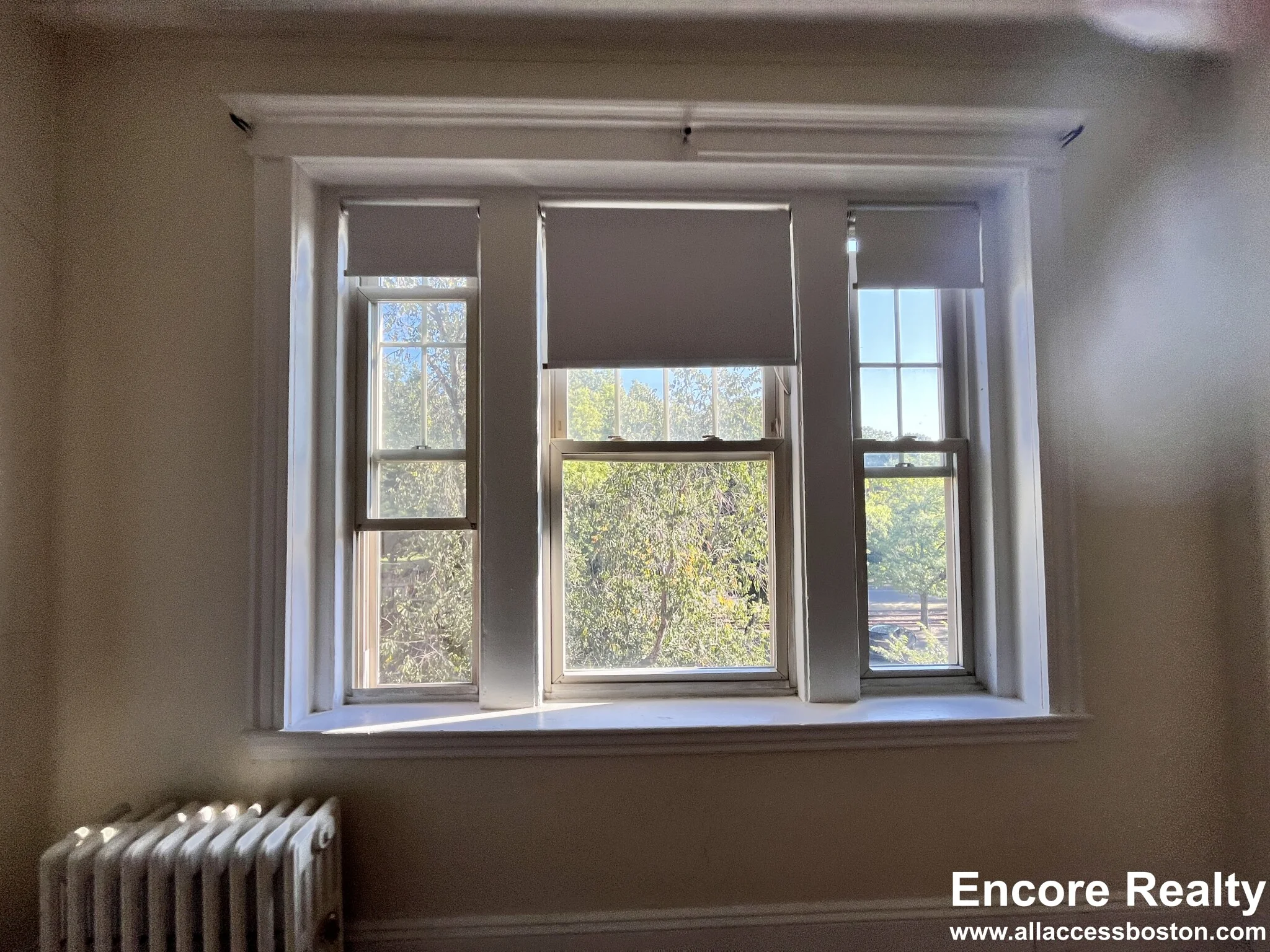 2 bed, 1 bath apartment for rent at 1788 Beacon St Unit 1788-6, Brookline — photo 7 of 14