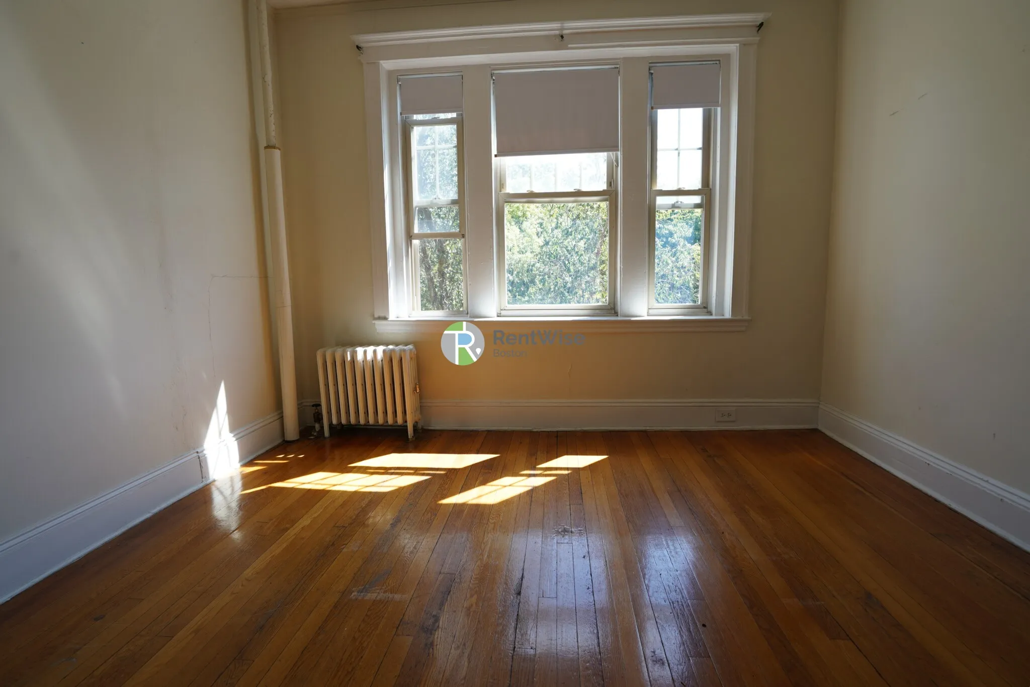 2 bed, 1 bath apartment for rent at 1788 Beacon St Unit 6B, Brookline — photo 9 of 19