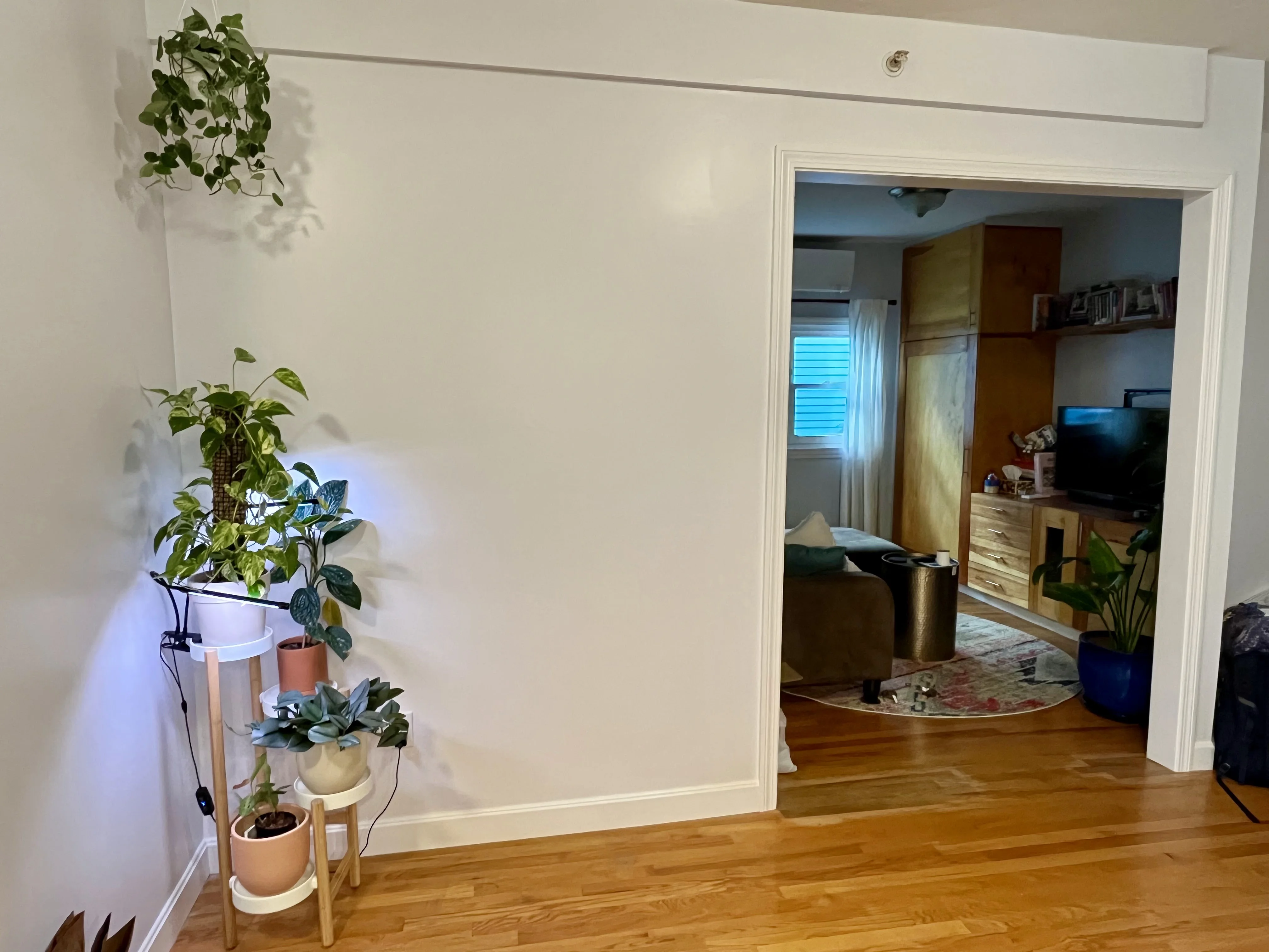 1 bed, 1 bath apartment for rent at 179 Elm St Unit 302, Davis Square — photo 10 of 13