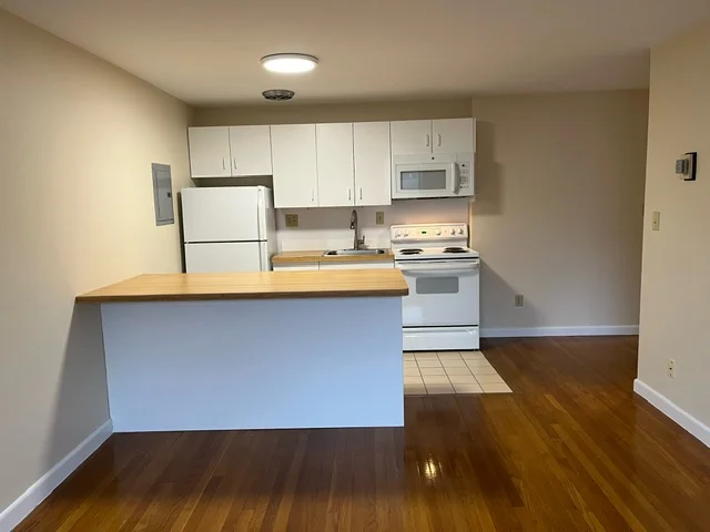1 bed, 1 bath apartment for rent at 179 Elm St Unit 401, Davis Square — photo 3 of 8