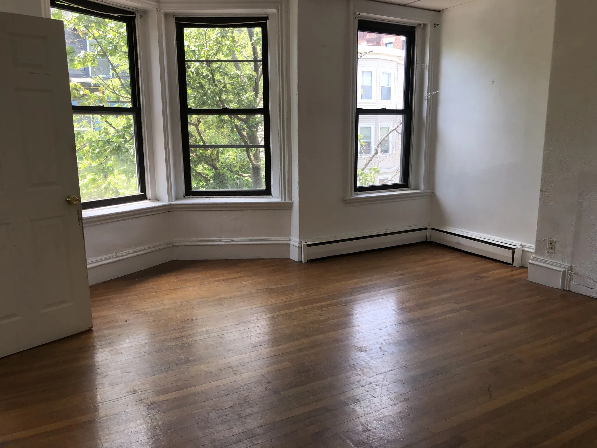1.5 bed, 1 bath apartment for rent at 179 Harvard St Unit 179.5 - 2, The Port — photo 4 of 11