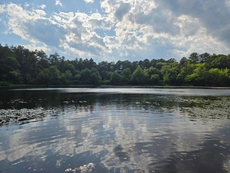 2 bed, 1 bath apartment for rent at 179 Little Sandy Pond Rd Unit 179, Plymouth — photo 2 of 11