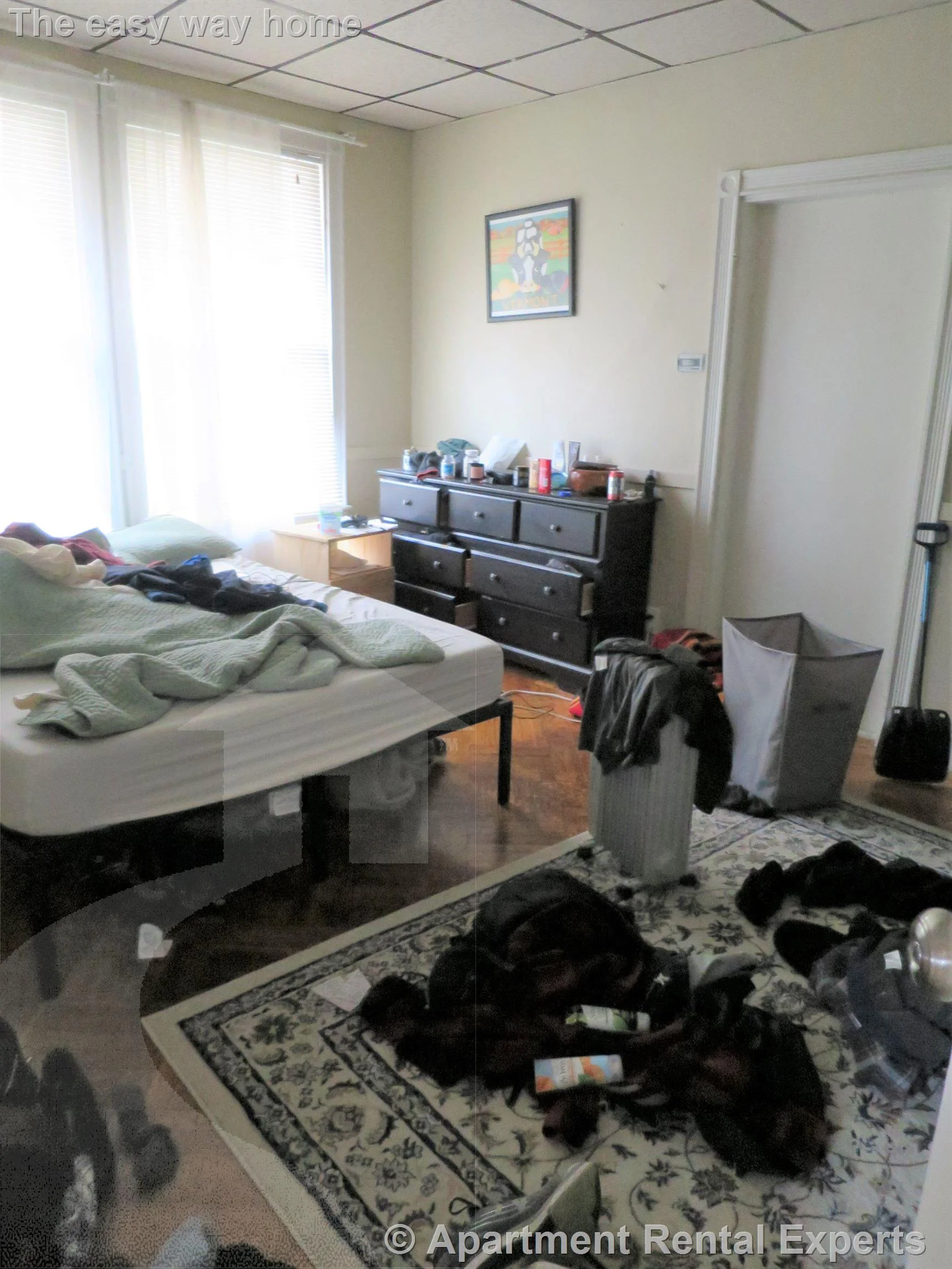 4 bed, 2 bath apartment for rent at 17A Putnam Ave, Harvard Square — photo 9 of 11
