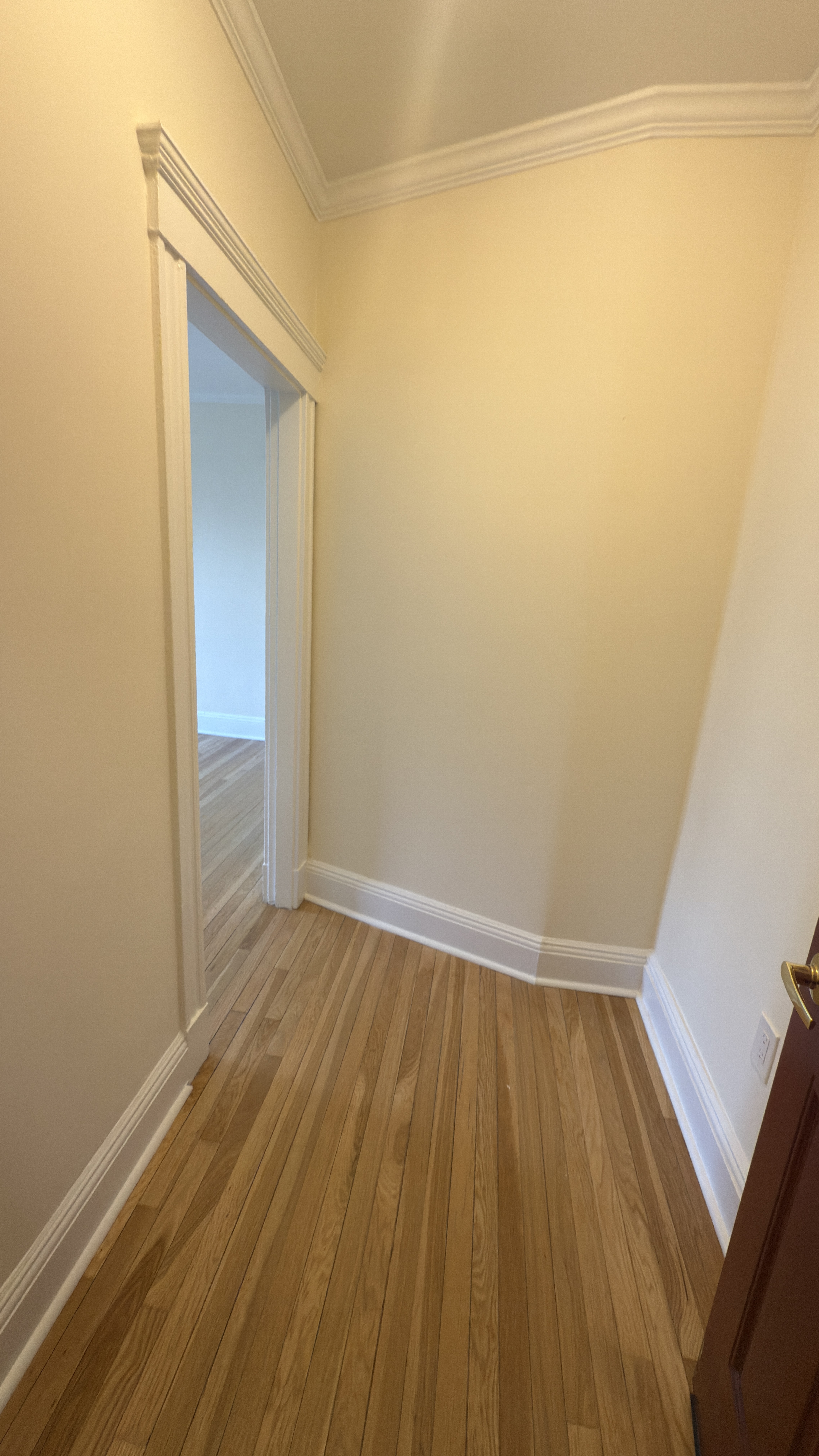 1 bed, 1 bath apartment for rent at 18 Chauncy St Unit 18-16, Neighborhood Nine — photo 7 of 15