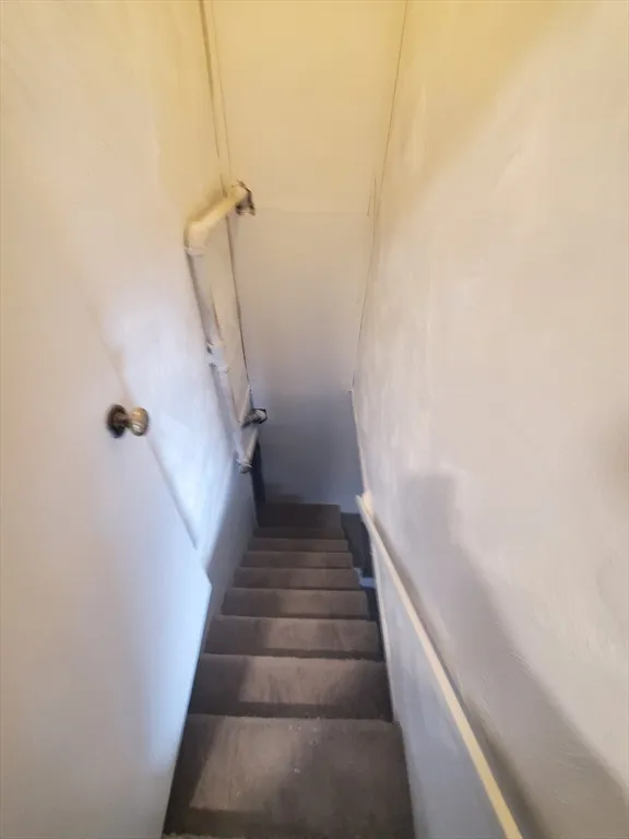 2 bed, 2 bath apartment for rent at 18 Denny St Unit 18, Dorchester — photo 18 of 19