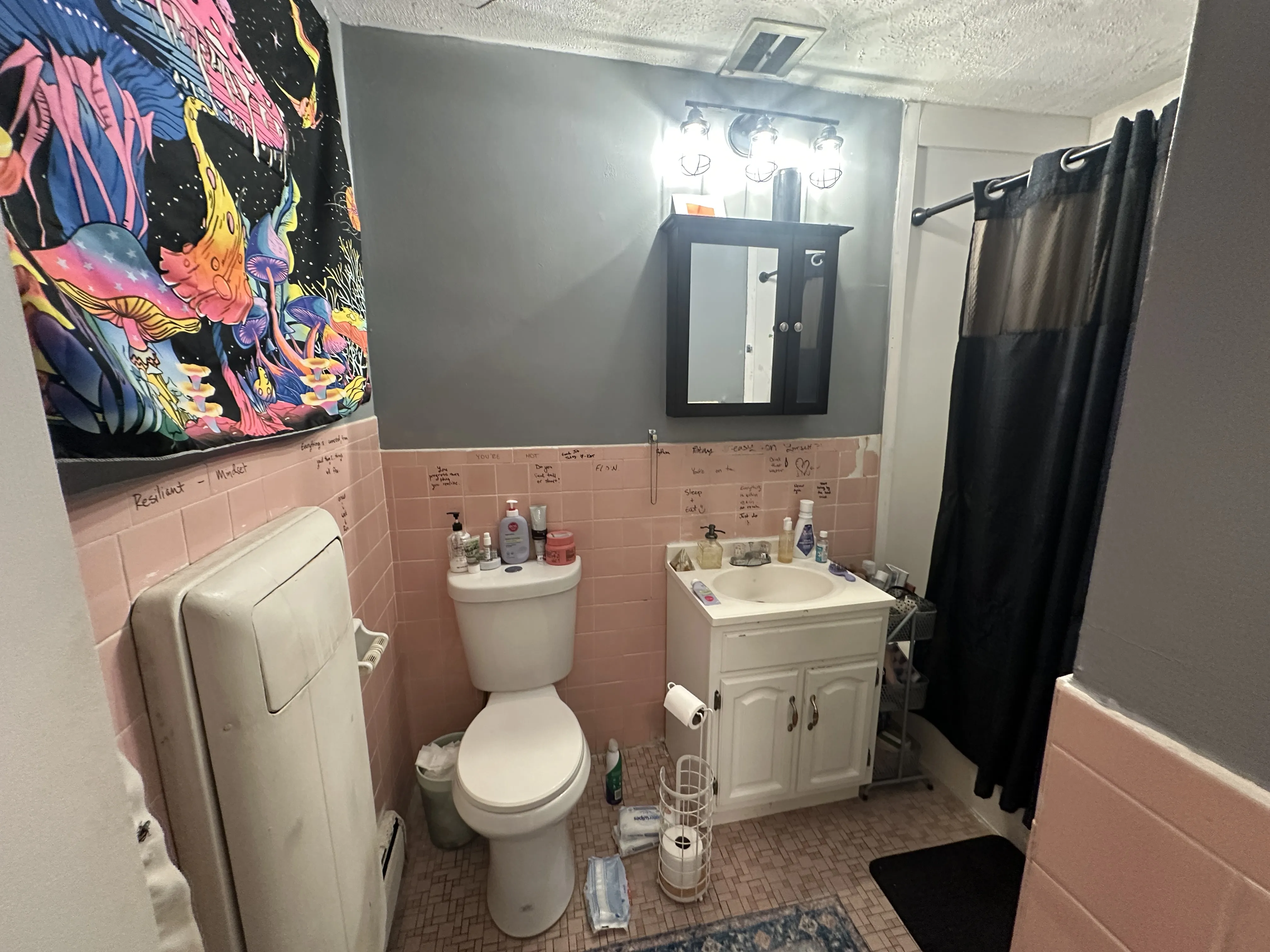 1 bed, 1 bath apartment for rent at 18 Glencoe St Unit 27, Brighton — photo 5 of 12