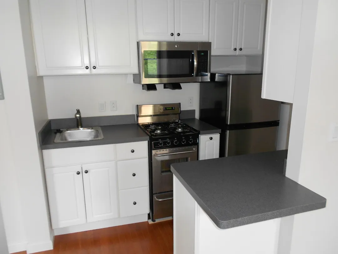 1 bed, 1 bath apartment for rent at 18 Haviland St Unit 22, Fenway — photo 2 of 6