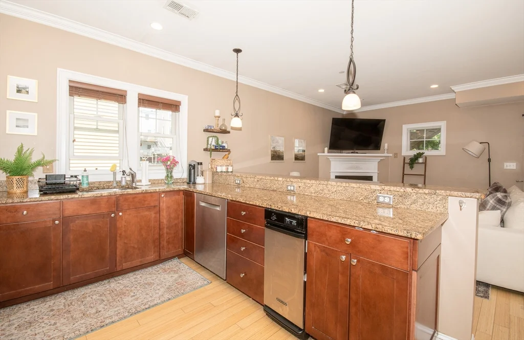 2 bed, 2 bath apartment for rent at 18 Knowlton St Unit 3, South Boston — photo 5 of 16