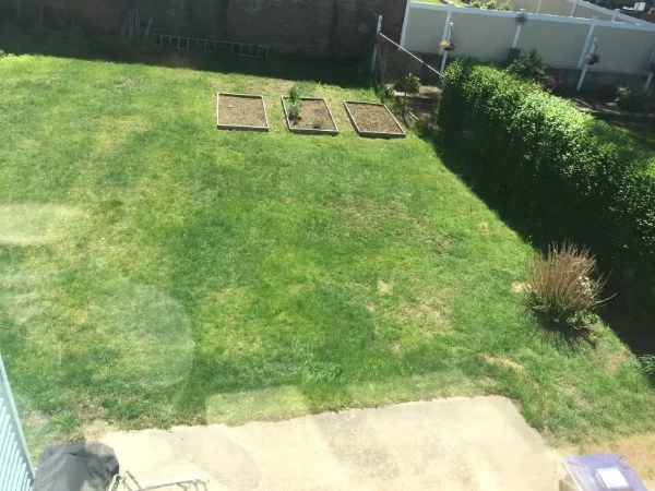 2 bed, 1 bath apartment for rent at 18 Myrick St Unit 18, Allston — photo 3 of 6