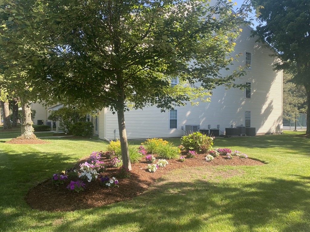 1 bed, 1 bath apartment for rent at 18 Walden Dr Unit 6, Natick — photo 1 of 19