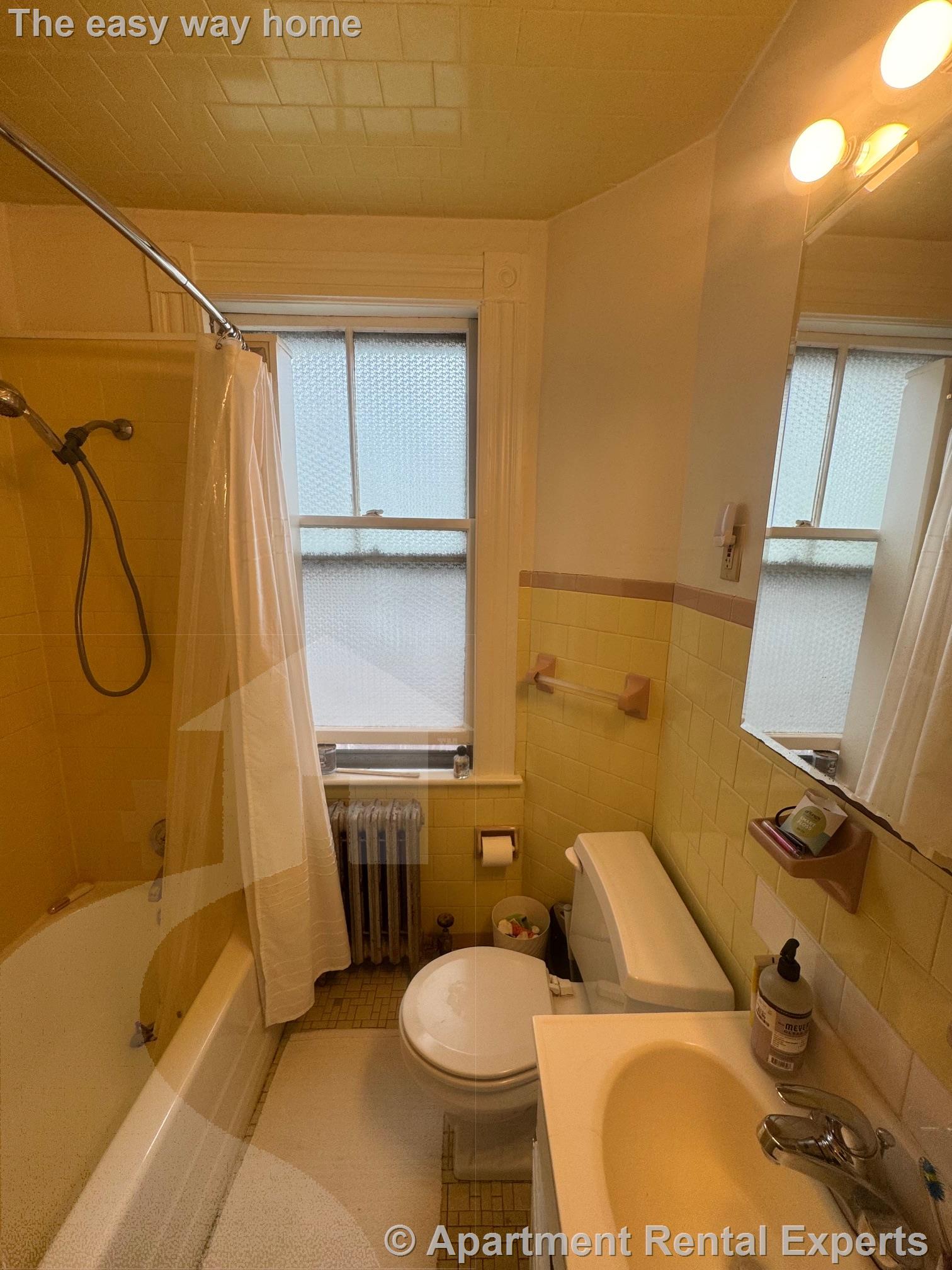 Studio bed, 1 bath apartment for rent at 18 Waldo St Unit 2, Spring Hill — photo 6 of 7