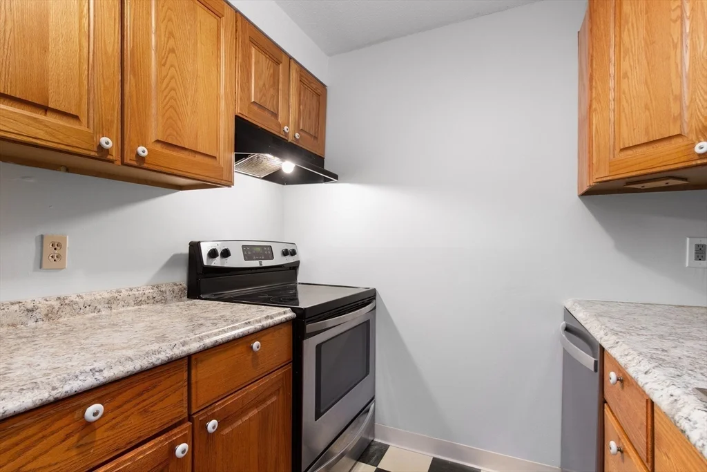 1 bed, 1 bath apartment for rent at 180 Main St Unit D80, Bridgewater — photo 7 of 20